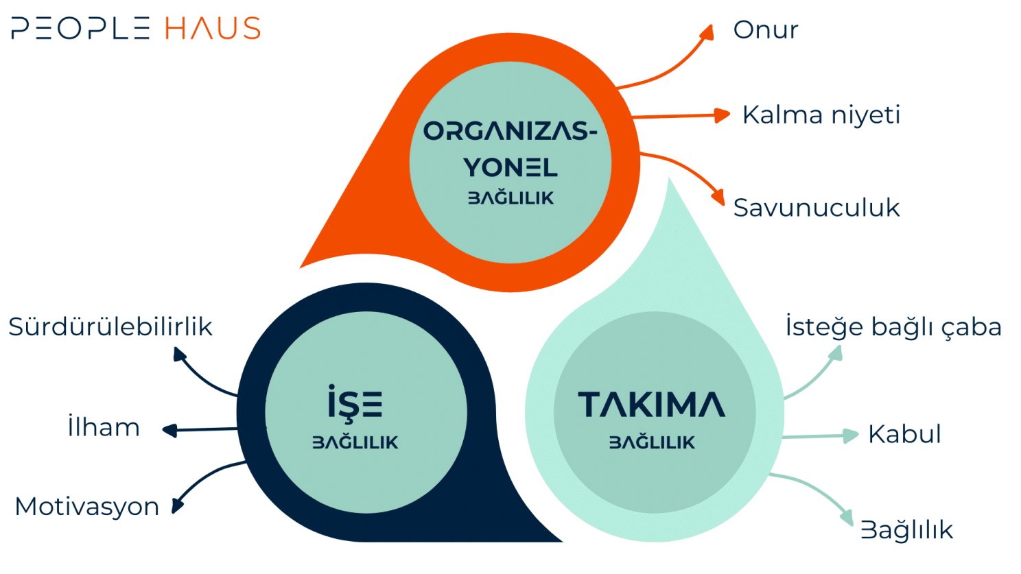 Quantum Workplace e9 Çalışan Bağlılığı Modeli